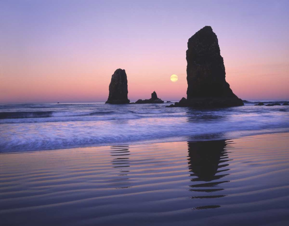 Wall Art Painting id:135595, Name: OR, Cannon Beach, Moonset between The Needles, Artist: Terrill, Steve