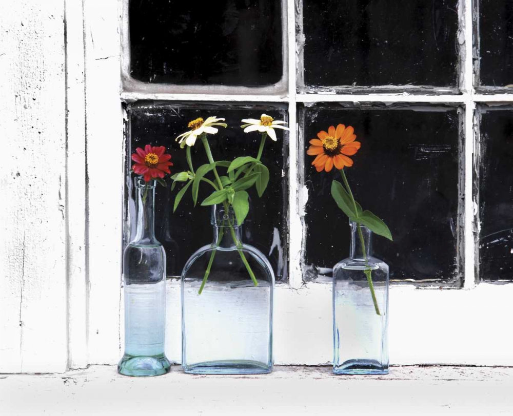 Art Print: USA, Oregon, Zinnias in bottles on windowsill