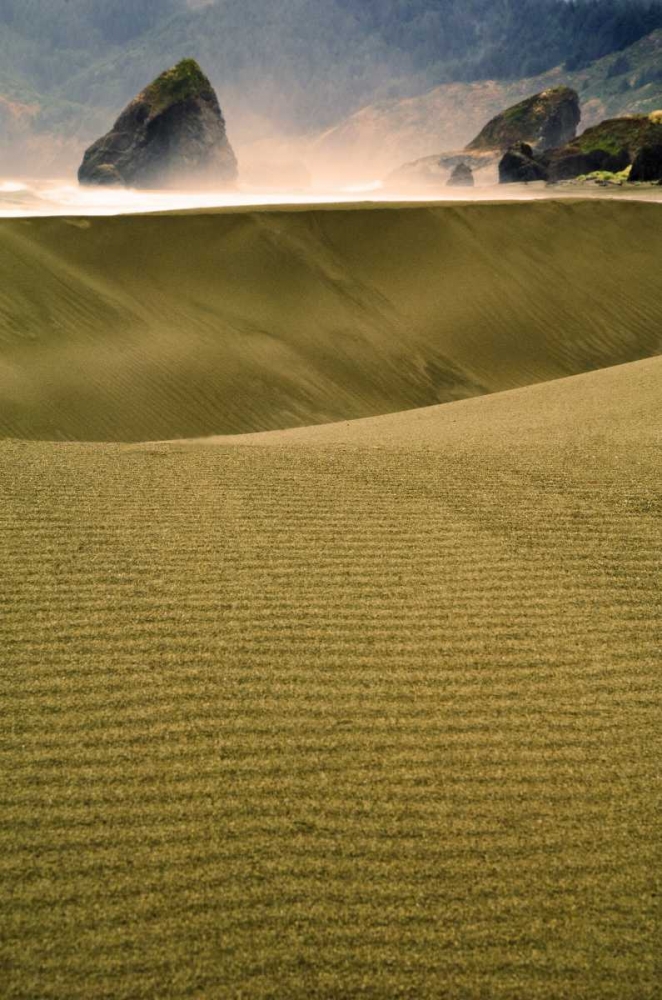 Art Print: USA, Oregon Sand dunes in late light along coast