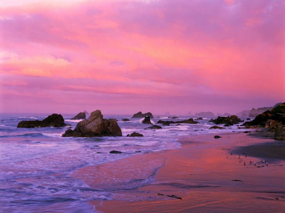Art Print: OR, Harris State Beach Sea stacks at dawn
