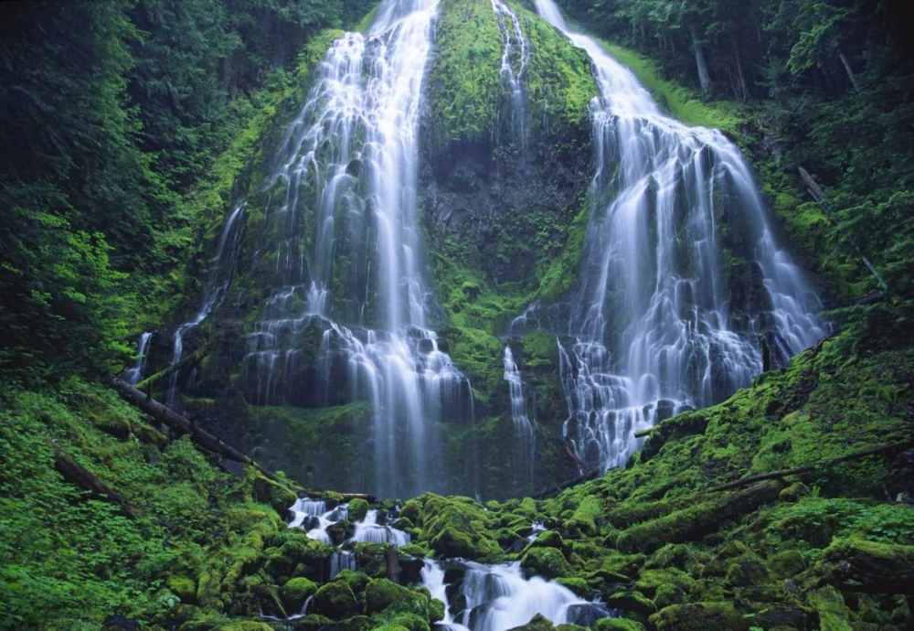 Art Print: Oregon, Willamette NF The Lower Proxy Falls