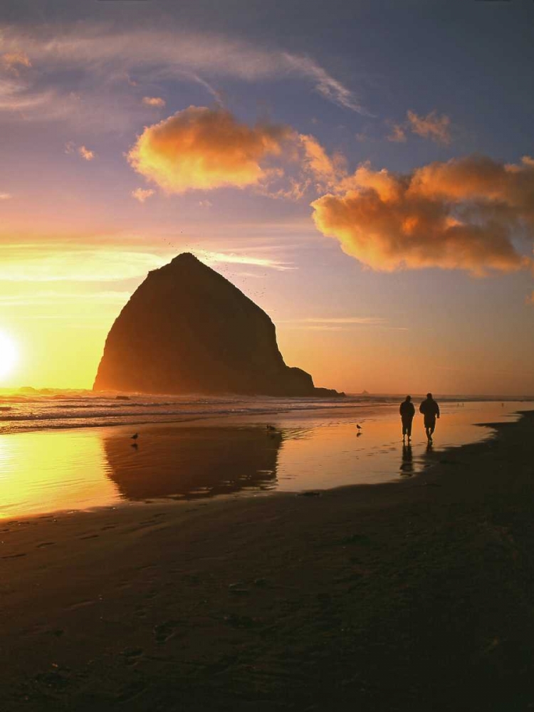 Wall Art Painting id:135768, Name: OR, Cannon Beach Couple by Haystack Rock, sunset, Artist: Terrill, Steve