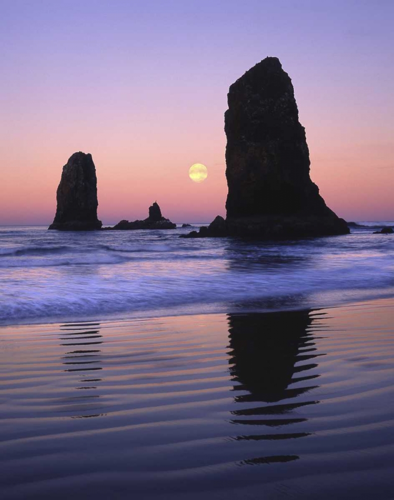 Wall Art Painting id:135549, Name: OR, Cannon Beach The Needles rock monoliths, Artist: Terrill, Steve