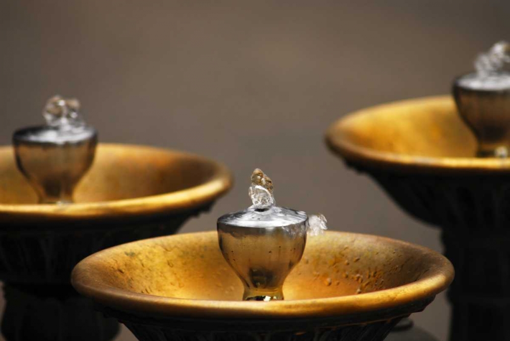 Art Print: OR, Portland Benson Bubblers in downtown