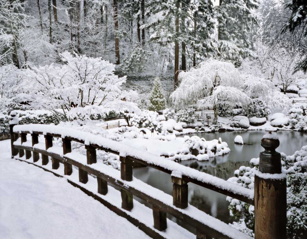 Art Print: Oregon, Portland Winter snowfall in a Garden