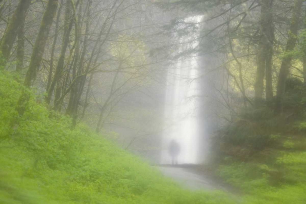 Art Print: OR, Columbia Gorge Shrouded Latourell Falls
