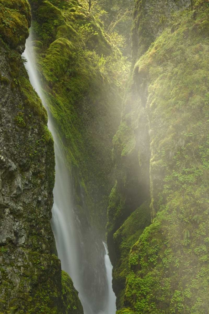 Art Print: OR, Columbia Gorge Overlook of Elowah Falls