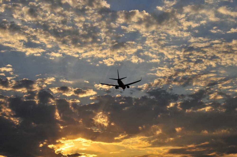 Art Print: OR, Portland Airplane approaching landing