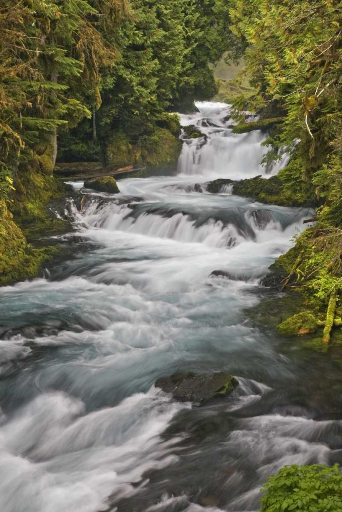 Art Print: Oregon, Willamette NF McKenzie River rapids