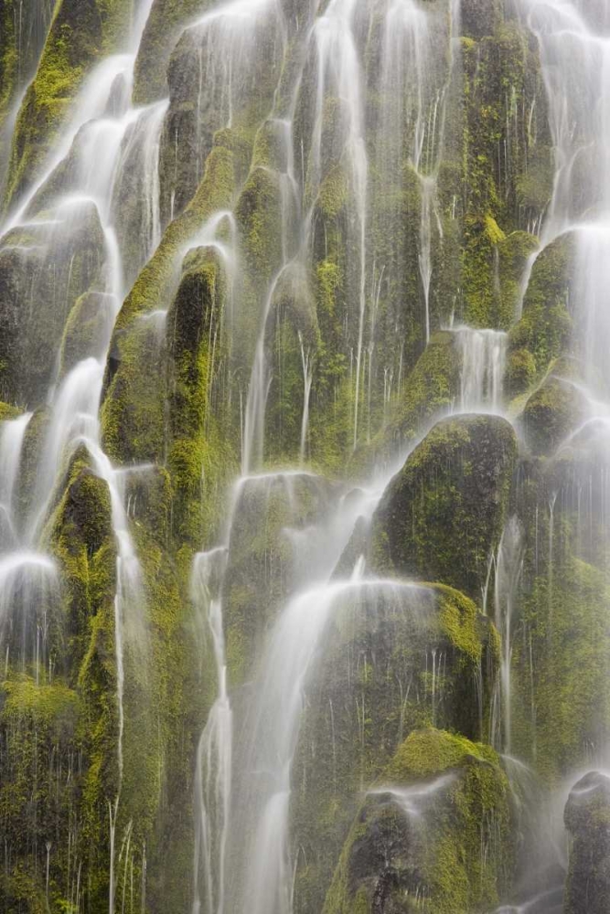 Wall art: Oregon, Willamette NF View of Proxy Falls, by Paulson, Don