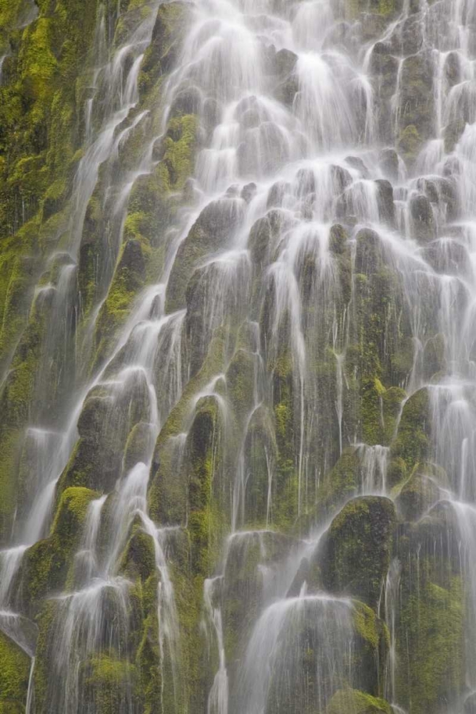 Art Print: Oregon, Willamette NF View of Proxy Falls