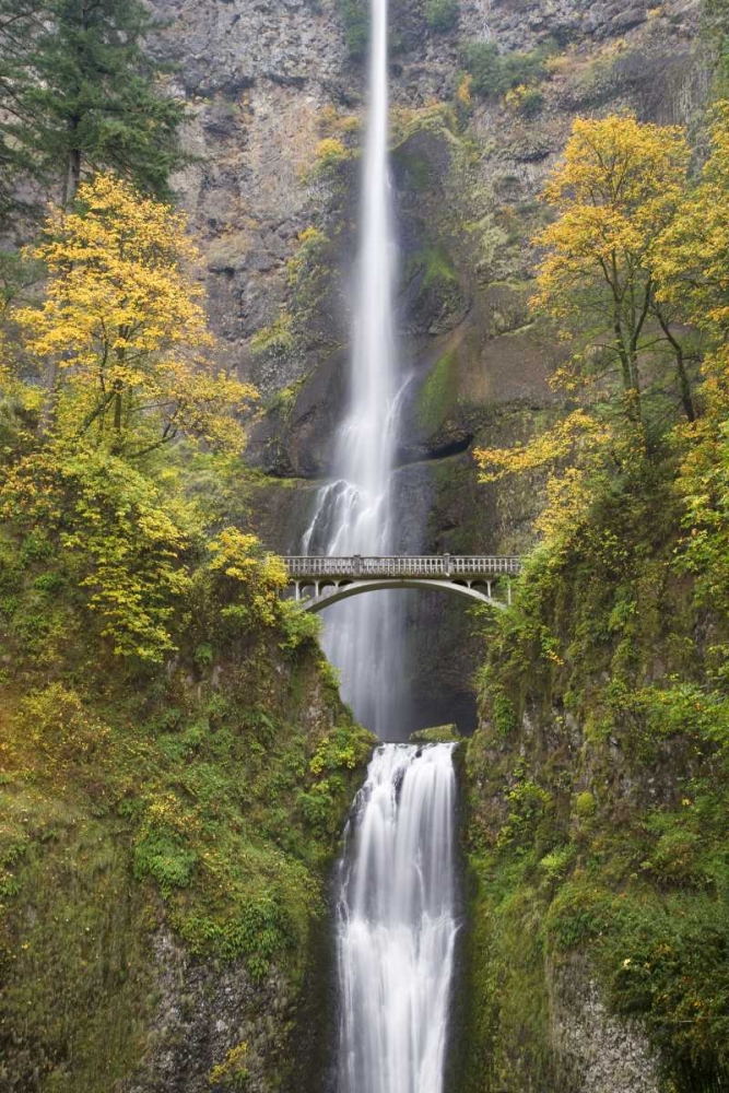Art Print: OR, Columbia Gorge Bridge by Multnomah Falls