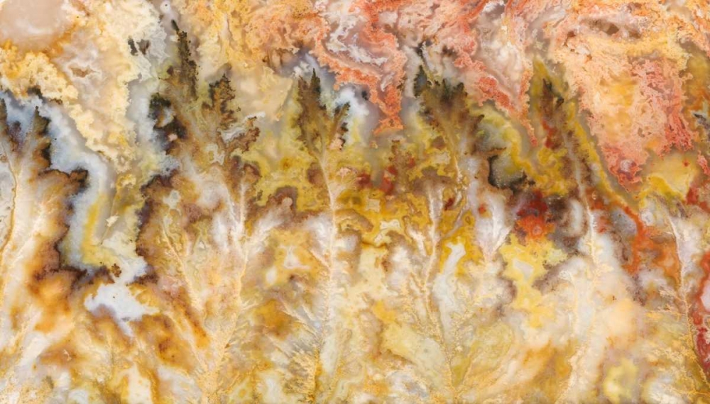 Art Print: Oregon Graveyard Point Plume Agate stone