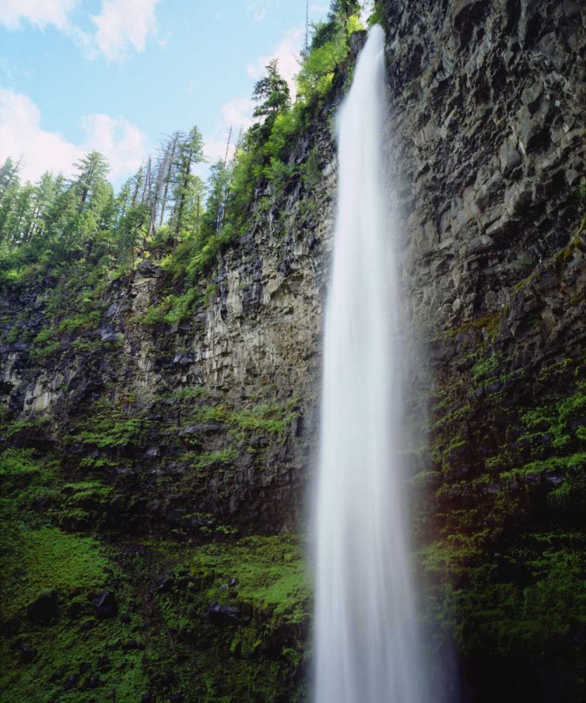 Art Print: USA, Oregon, A waterfall in an old-growth forest