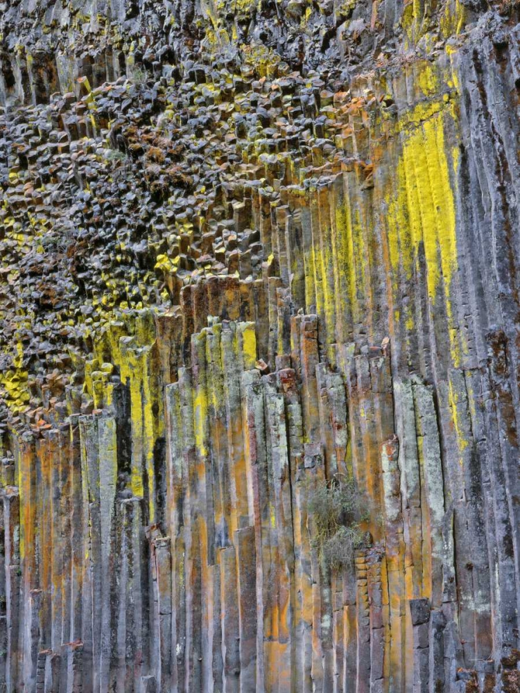 Art Print: OR, Columnar basalt covered with lichen
