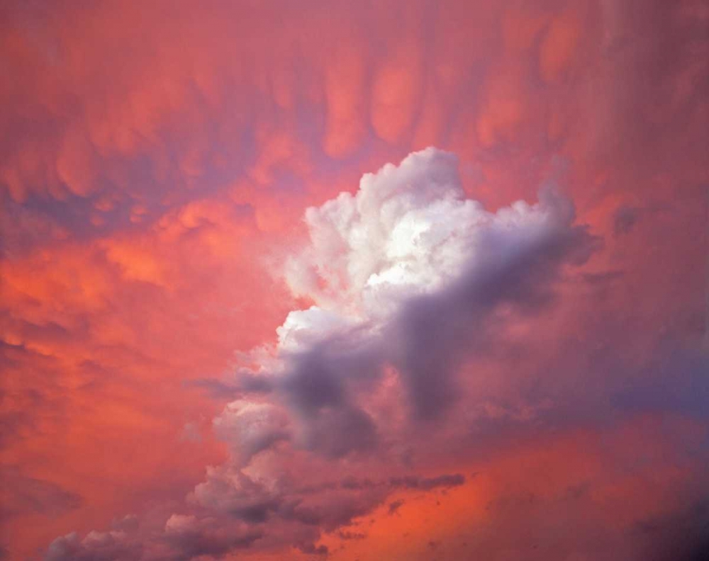Art Print: Oregon, Portland Clouds with sunset colors