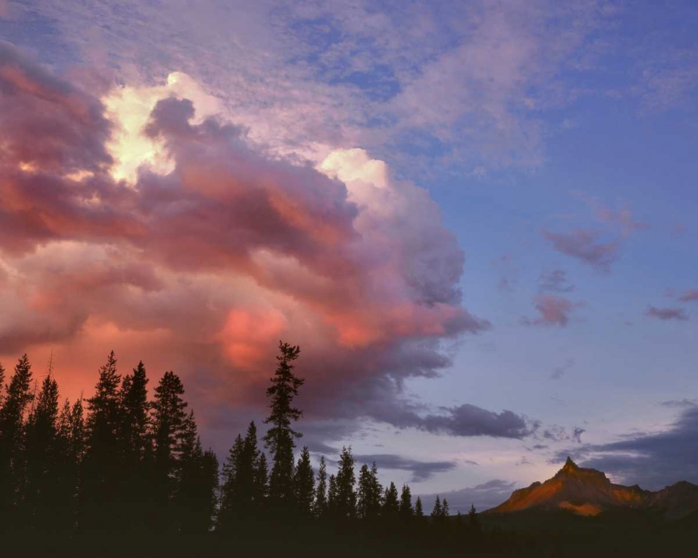 Art Print: Oregon, Umpqua NF Storm approaching Mt Thielsen