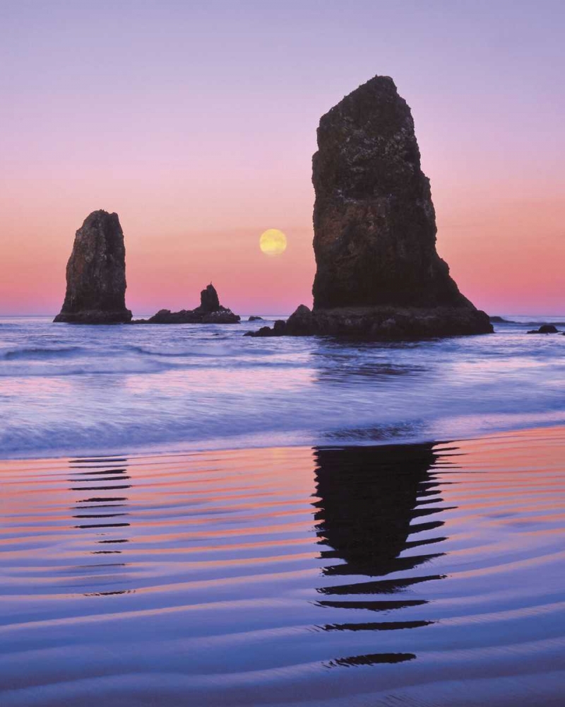 Wall Art Painting id:135769, Name: OR, Cannon Beach Moonset at The Needles monolith, Artist: Terrill, Steve