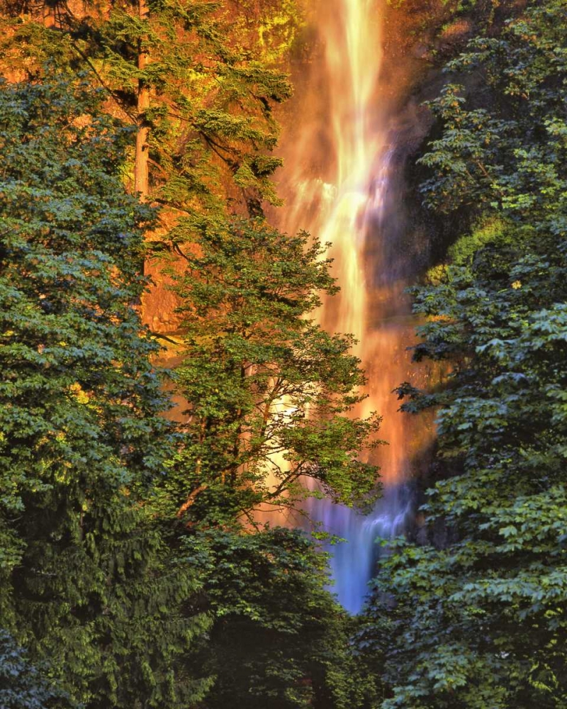 Art Print: OR, Columbia Gorge Sunset on Multnomah Falls