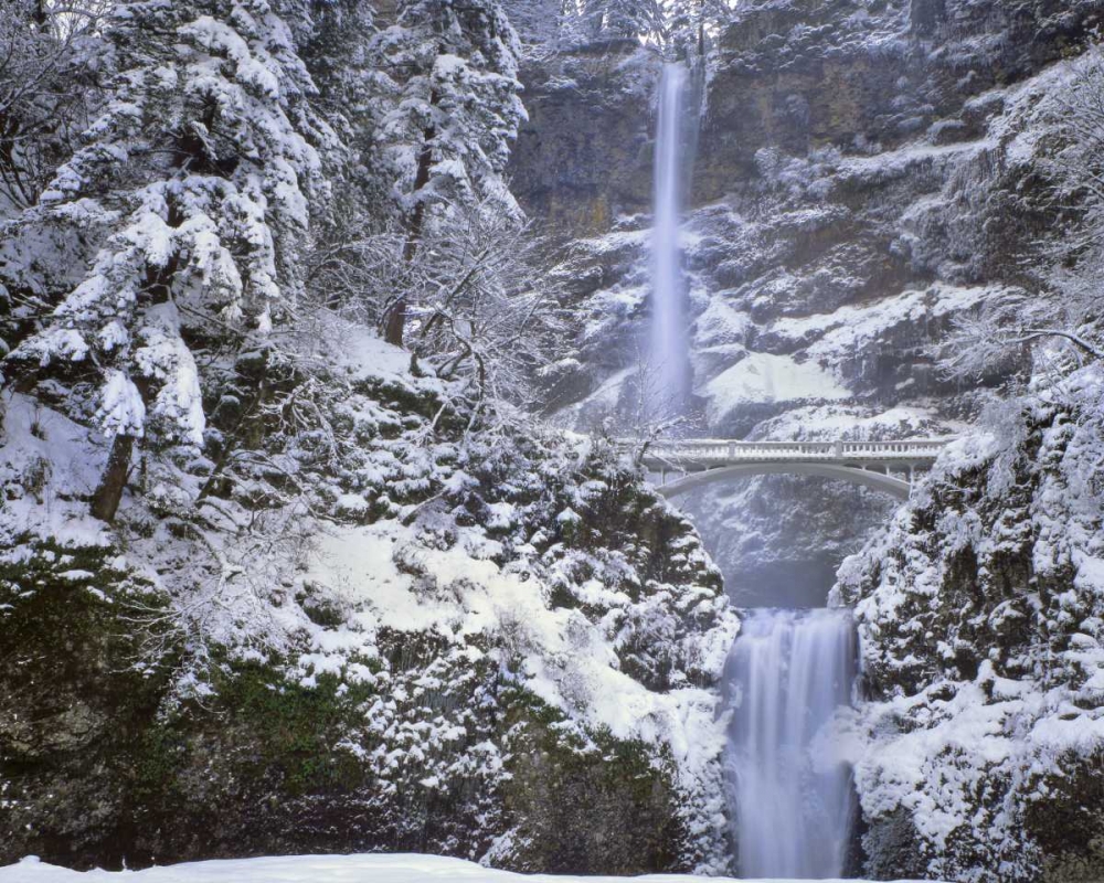 Art Print: OR, Columbia Gorge Winter at Multnomah Falls