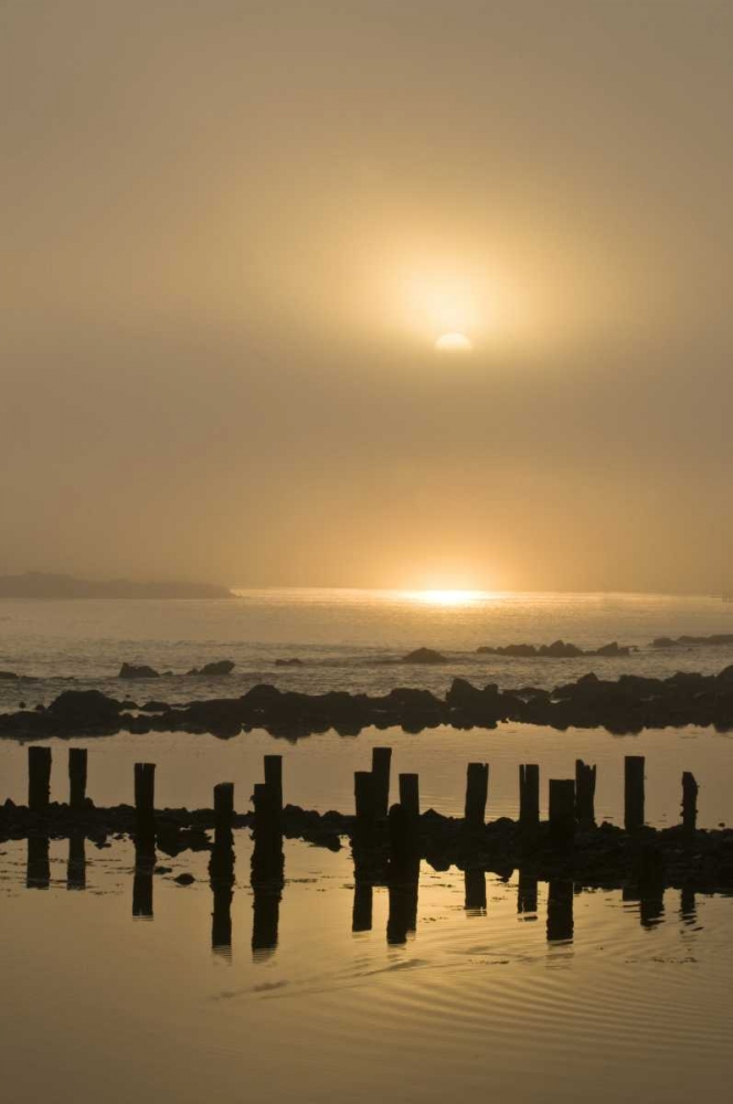 Art Print: Oregon Foggy sunrise on Bandon Beach pilings