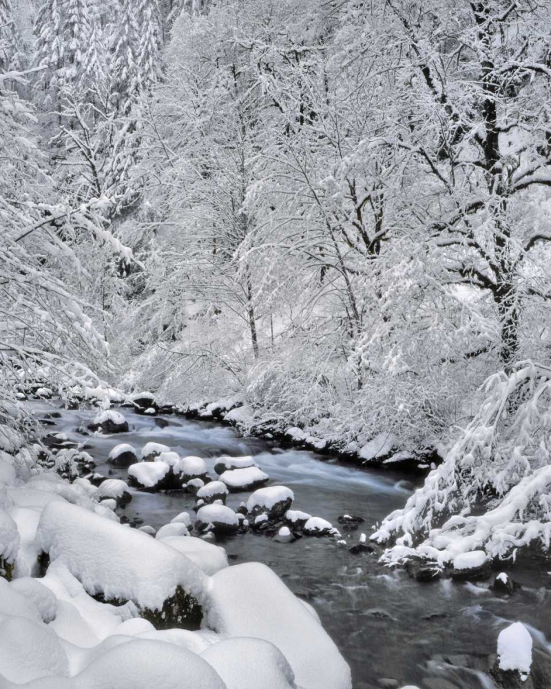 Art Print: Oregon, Mt Hood NF Snow on Boulder Creek