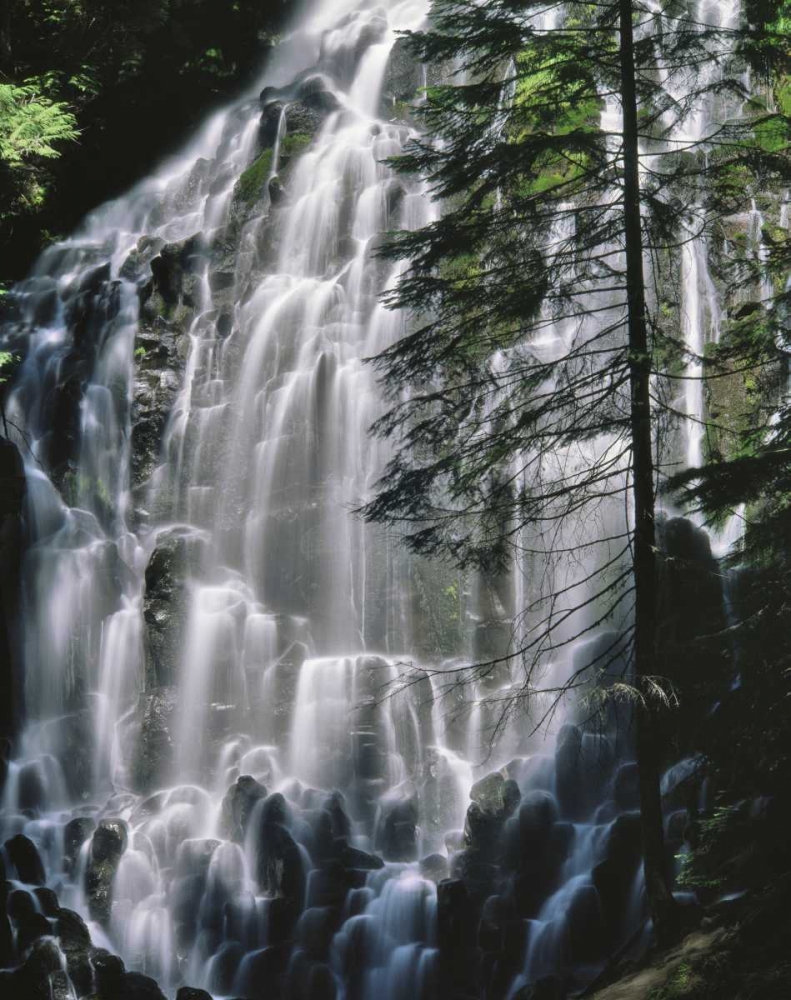 Art Print: Oregon, Mt Hood Wilderness Ramona Falls