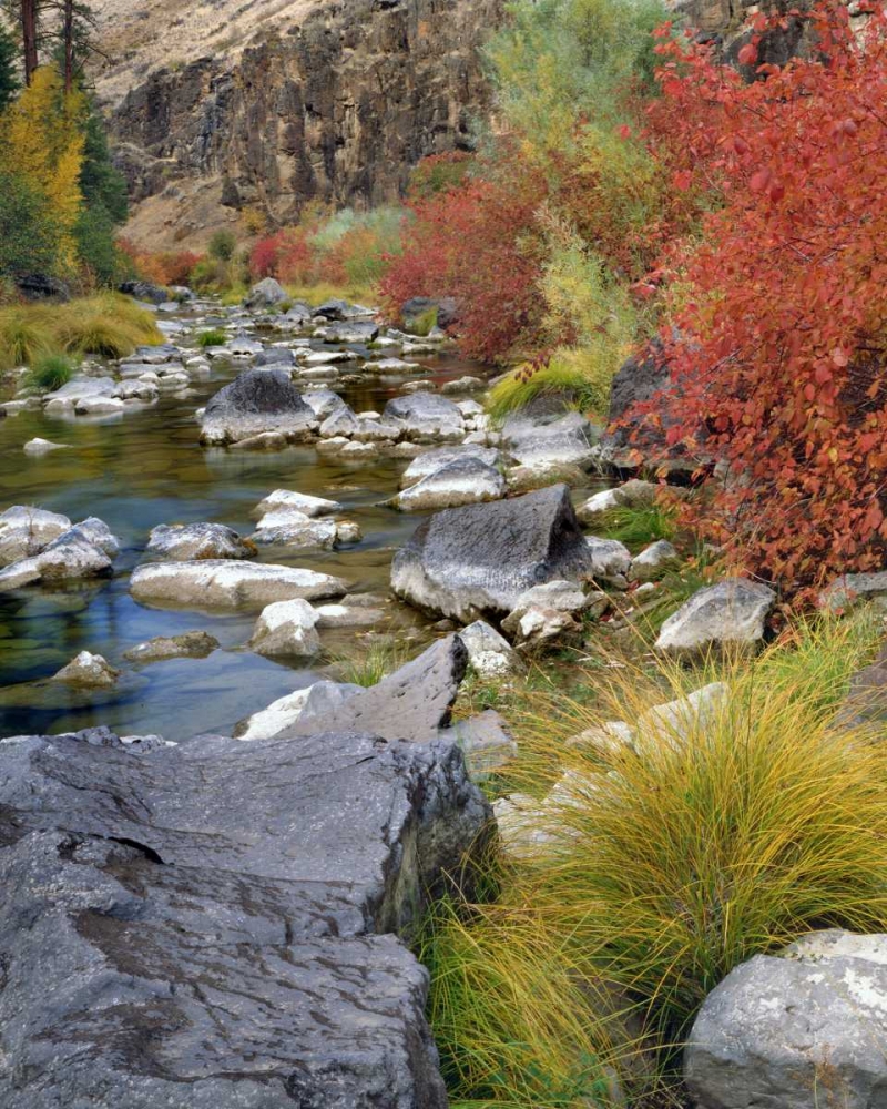 Art Print: USA, Oregon Fall colors along John Day River