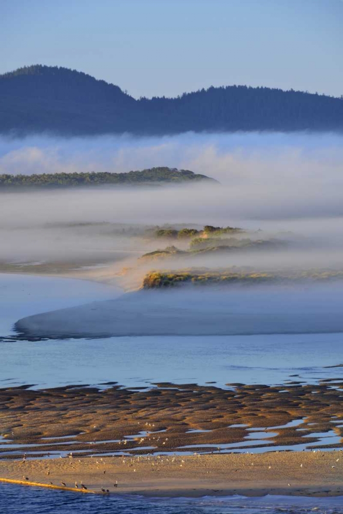 Art Print: USA, Oregon Morning fog over Netarts Bay
