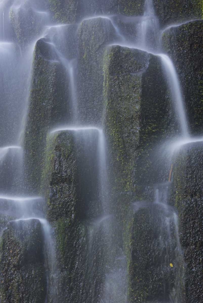Art Print: Oregon, Proxy Falls Waterfalls over basalt