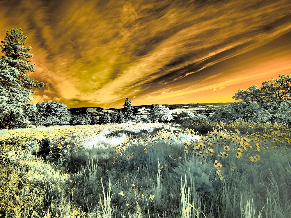 Similar wall art painting: 753266