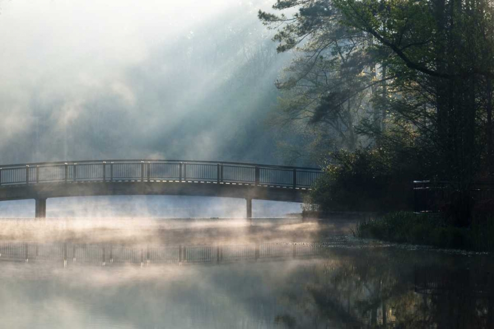 Art Print: Georgia Sunlit mist on bridge over lake