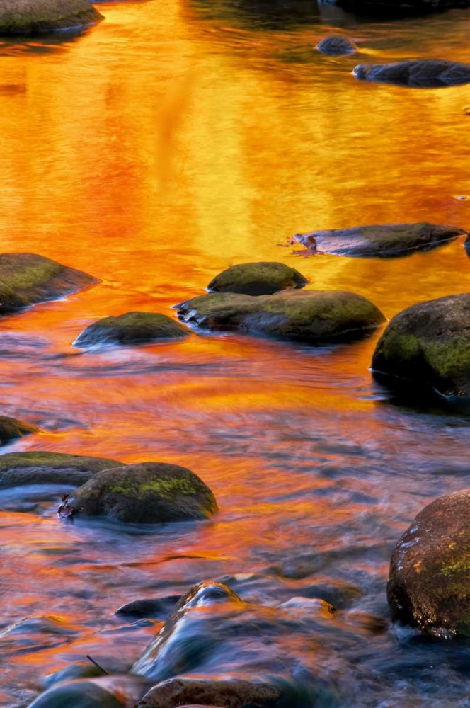 Art Print: PA, Delaware Water Gap Bright sun on water