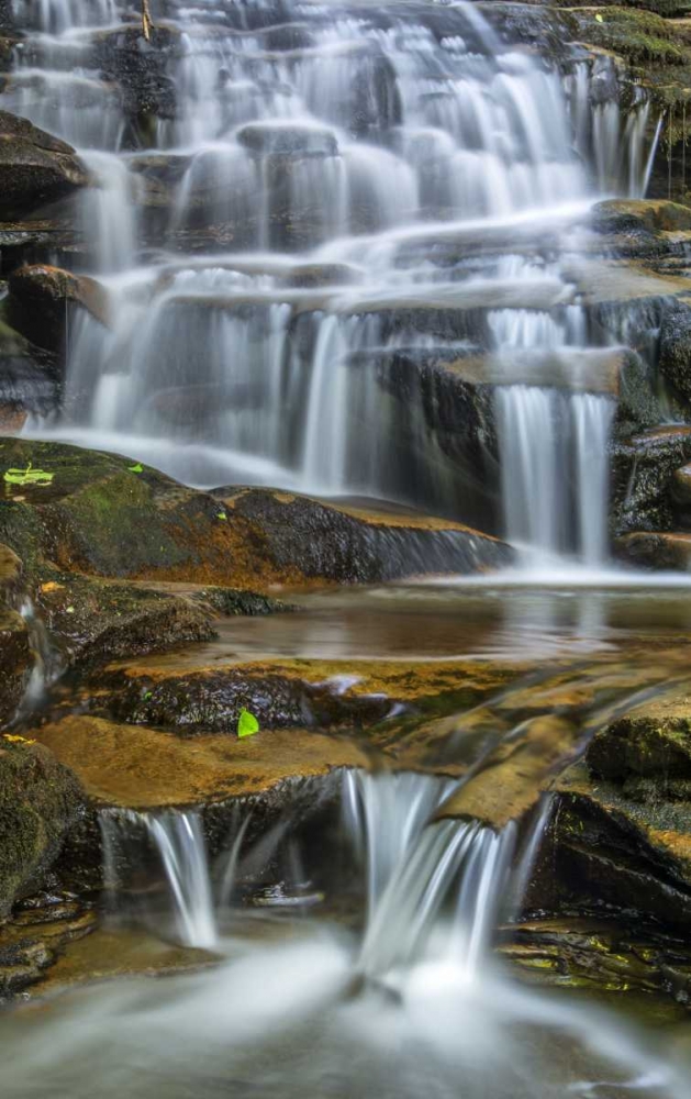 Art Print: Pennsylvania Waterfall in Ricketts Glen SP