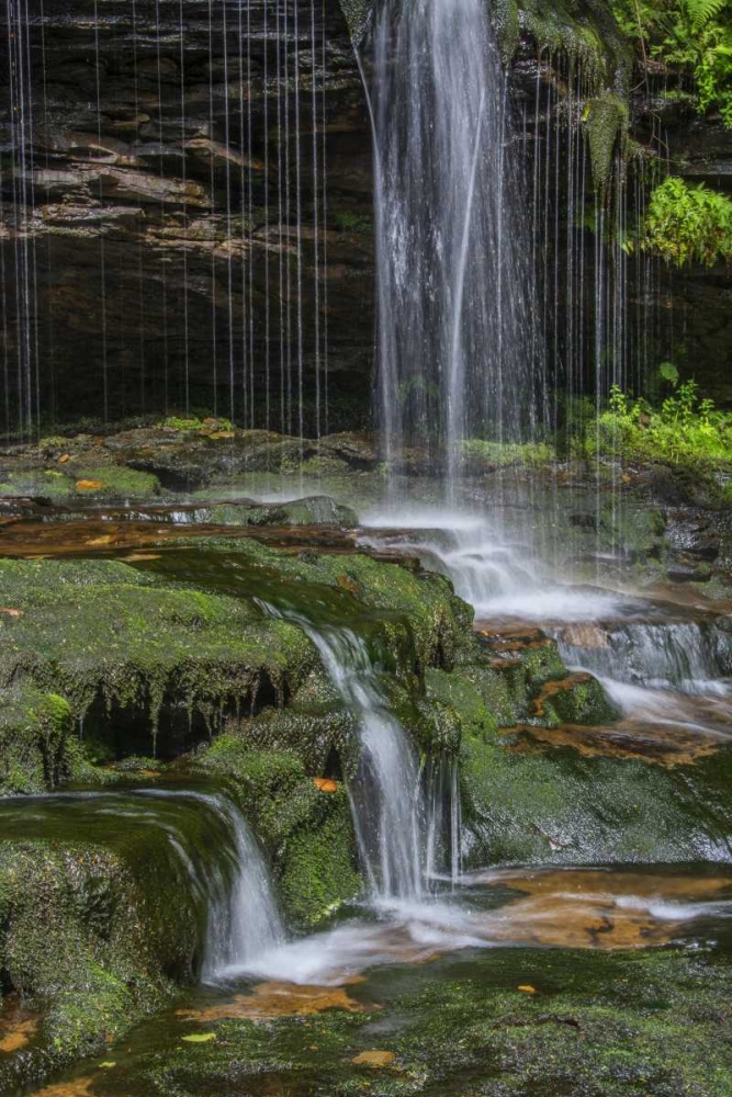 Art Print: Pennsylvania Waterfall in Ricketts Glen SP