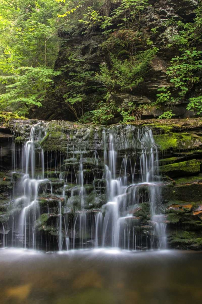 Art Print: Pennsylvania Waterfall in Ricketts Glen SP