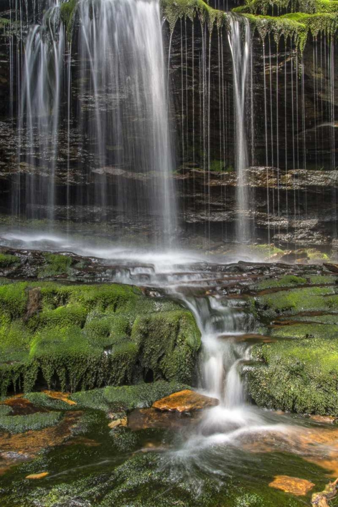 Art Print: Pennsylvania Waterfall in Ricketts Glen SP