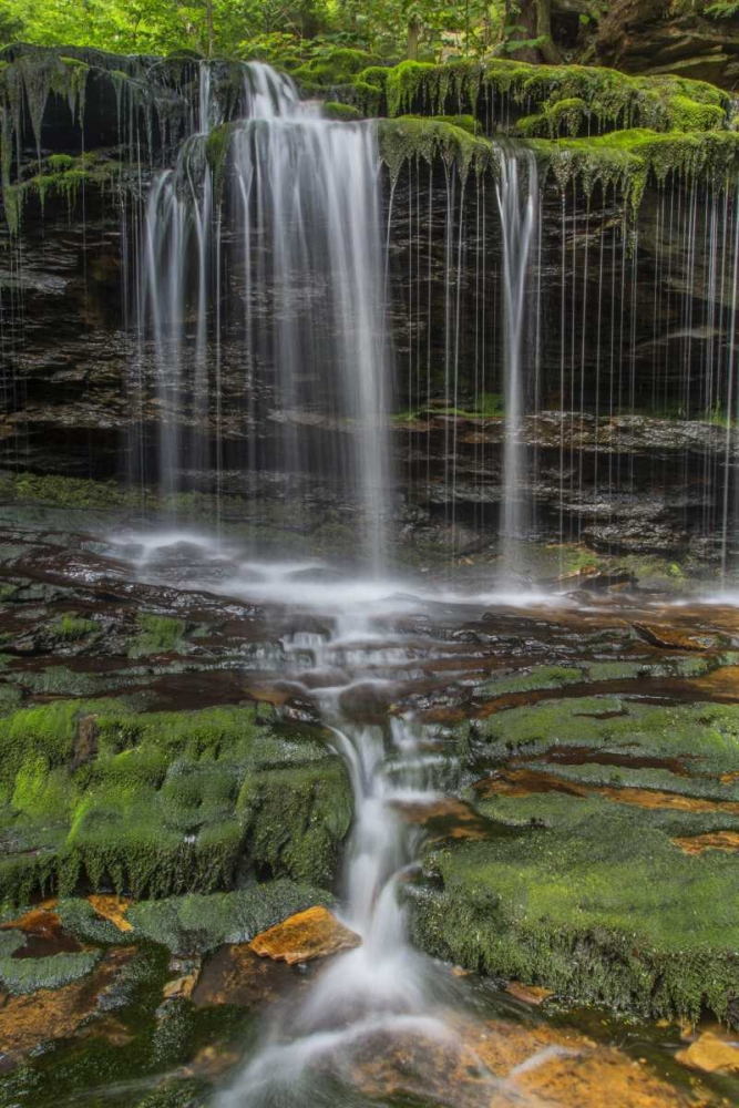 Art Print: Pennsylvania Waterfall in Ricketts Glen SP