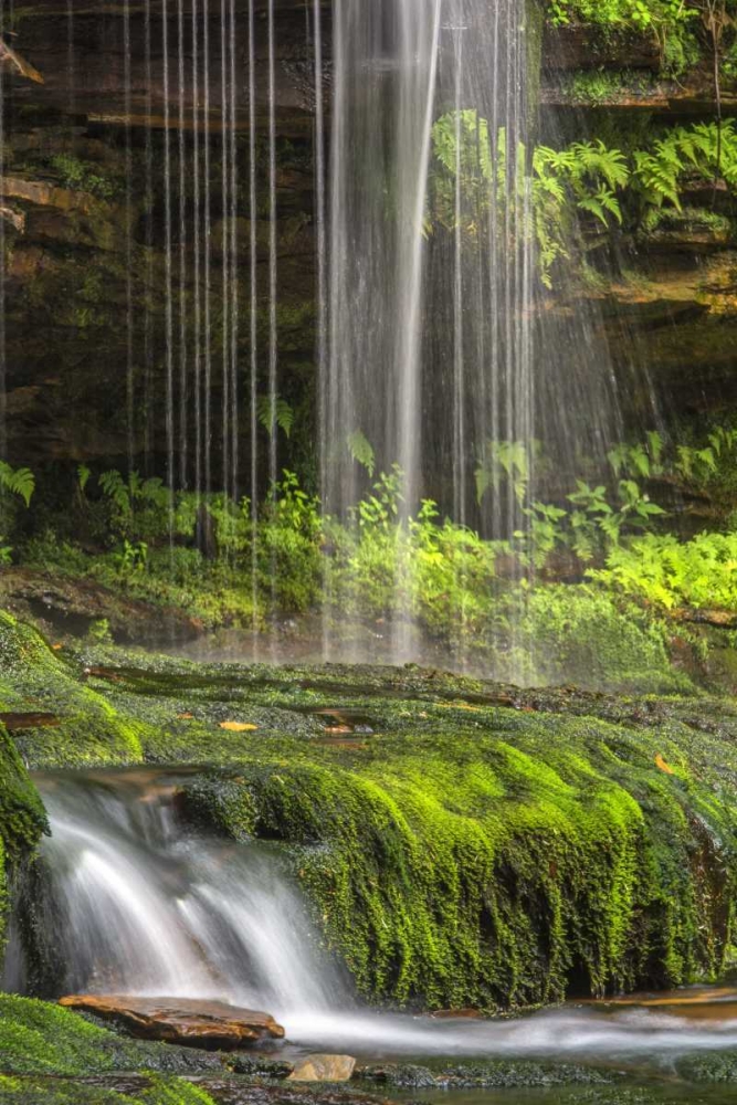 Art Print: Pennsylvania Waterfall in Ricketts Glen SP