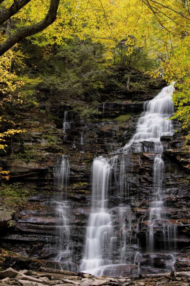 Art Print: Pennsylvania Waterfall in Ricketts Glen SP