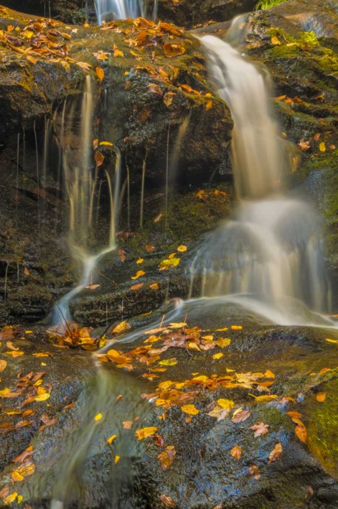 Art Print: PA, Delaware Water gap NRA Waterfall over rocks