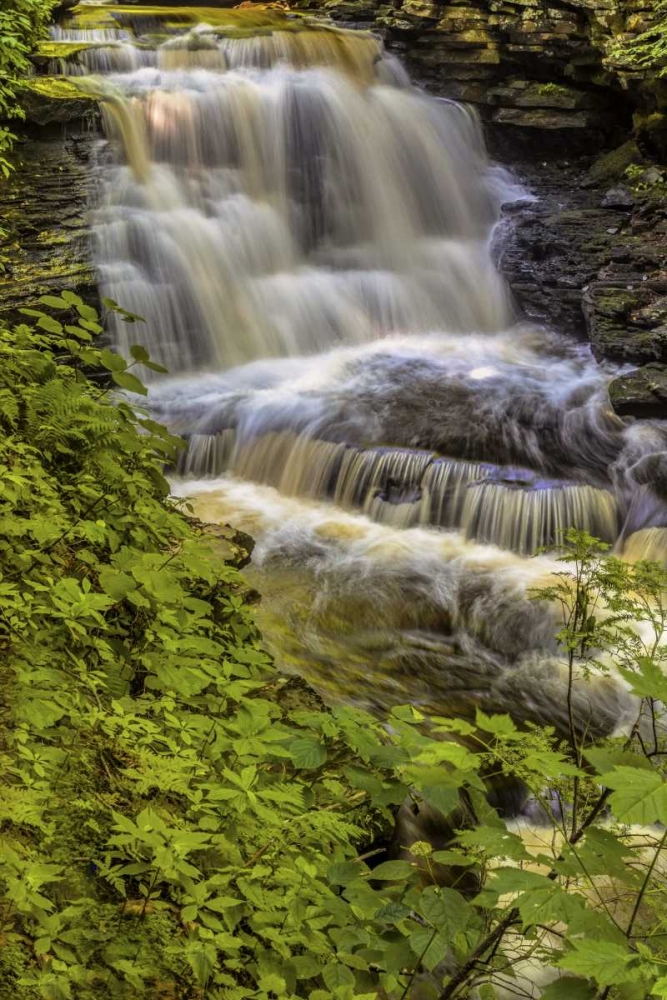Art Print: Pennsylvania, Ricketts Glen SP Delaware Falls