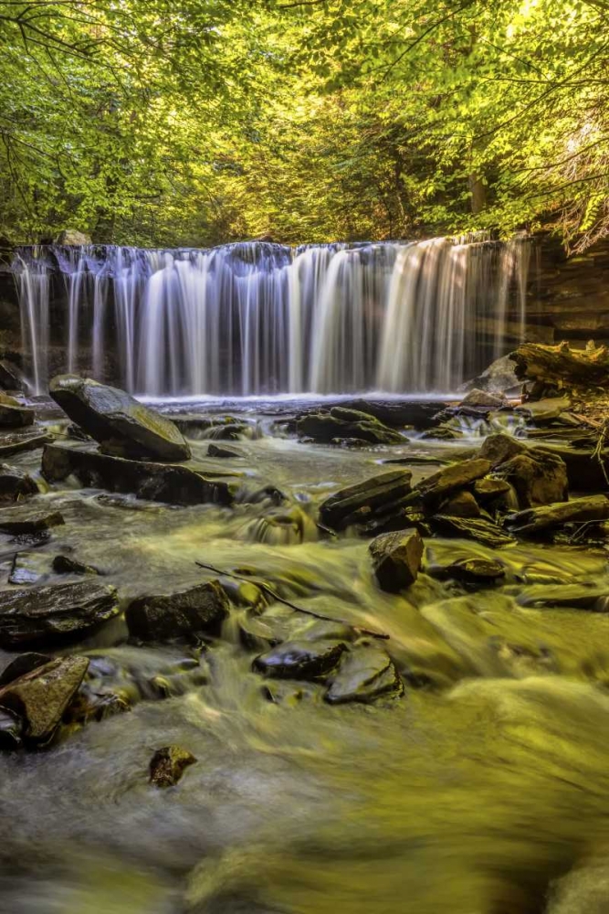 Art Print: PA, Benton, Ricketts Glen SP Oneida Falls