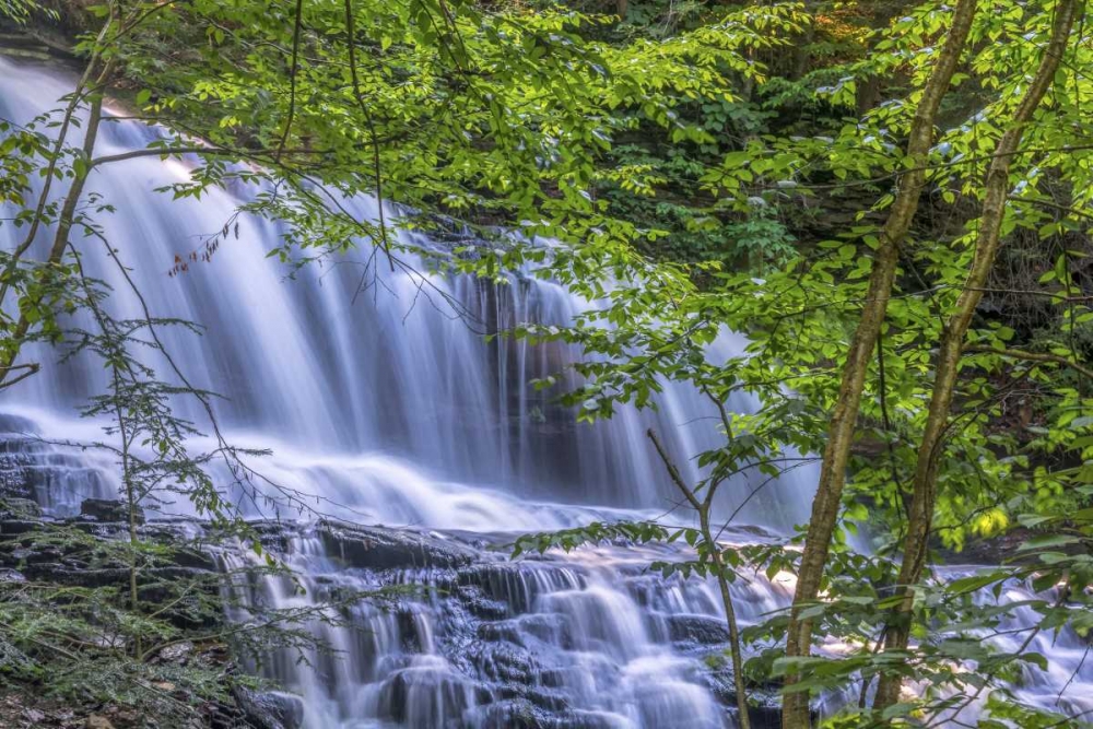 Art Print: PA, Benton, Ricketts Glen SP Mohawk Falls