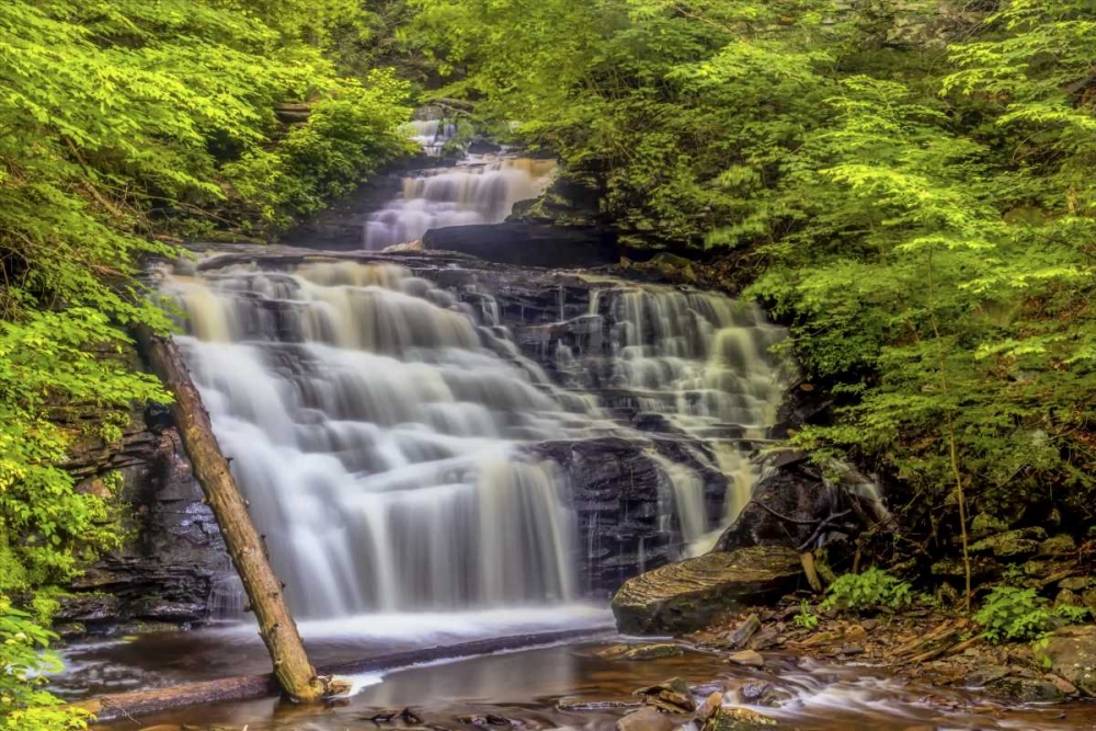 Art Print: Pennsylvania, Ricketts Glen SP Mohican Falls