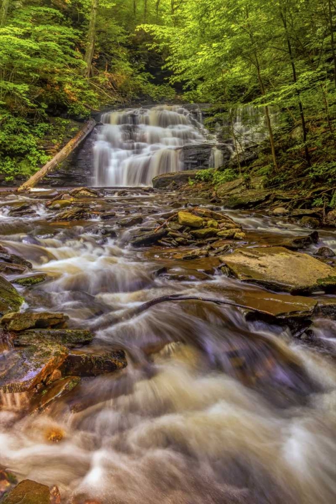 Art Print: Pennsylvania, Ricketts Glen SP Mohican Falls