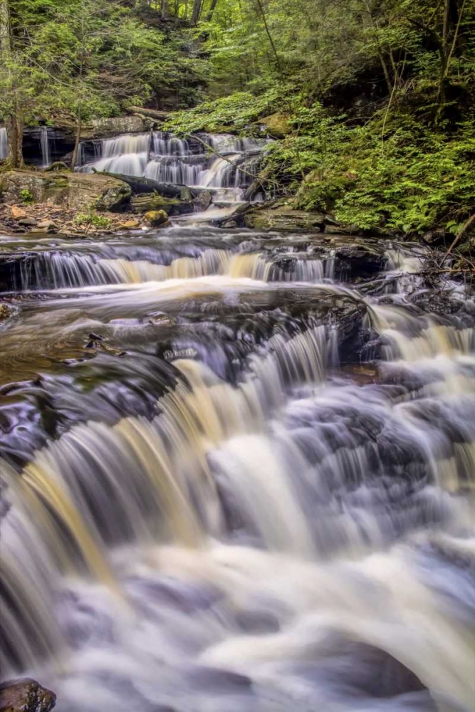 Art Print: Pennsylvania, Ricketts Glen SP Delaware Falls