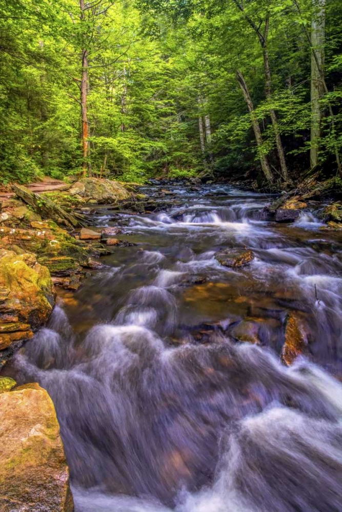 Art Print: Pennsylvania, Ricketts Glen SP Kitchen Creek