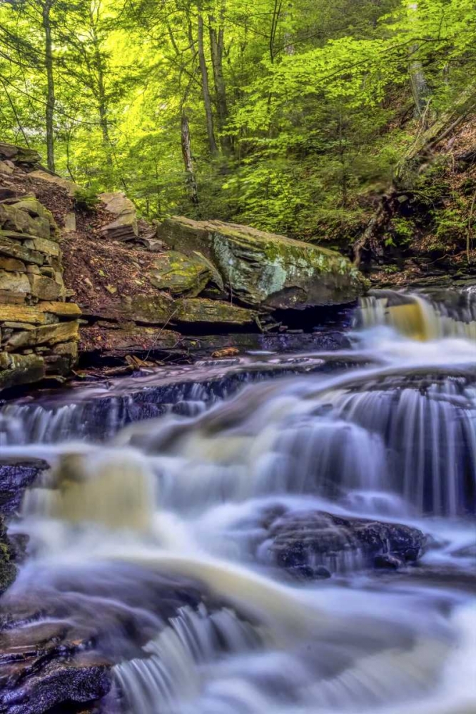 Art Print: PA, Benton, Ricketts Glen SP Seneca Falls