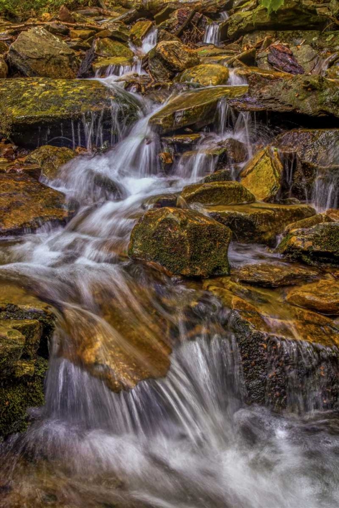 Art Print: Pennsylvania, Ricketts Glen SP Kitchen Creek